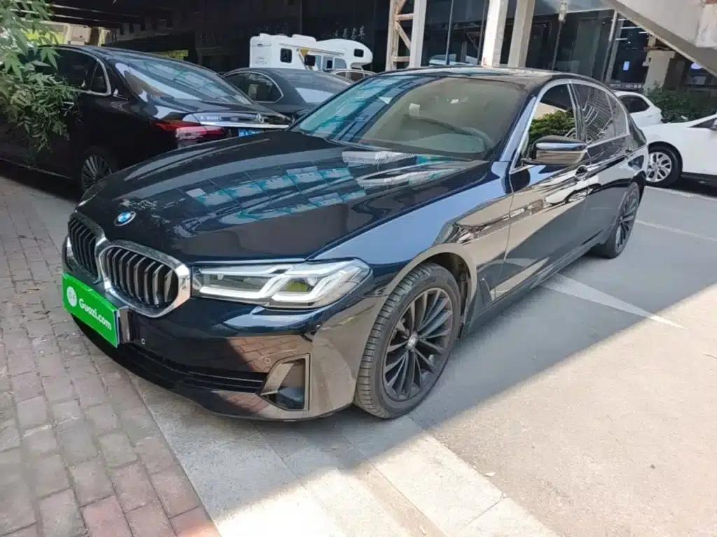 2021 BMW 5 Series 525Li Luxury Package — миниатюра 2