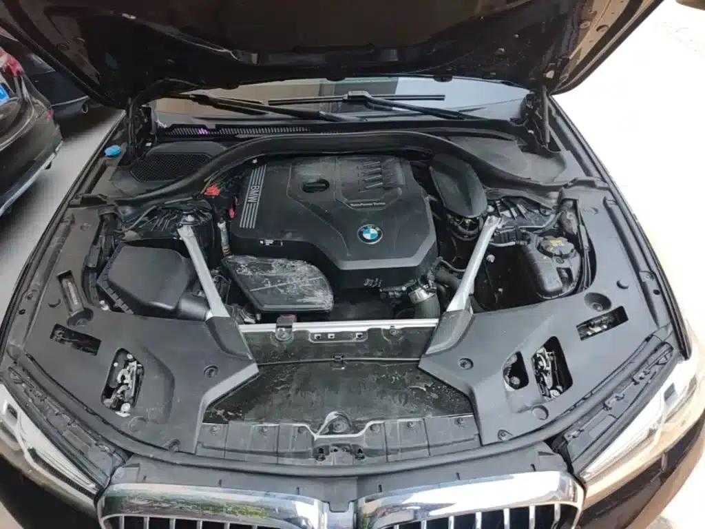2021 BMW 5 Series 525Li Luxury Package — миниатюра 16