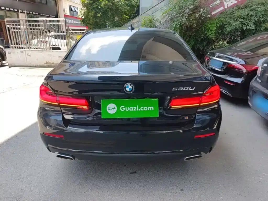 2021 BMW 5 Series 525Li Luxury Package — миниатюра 4