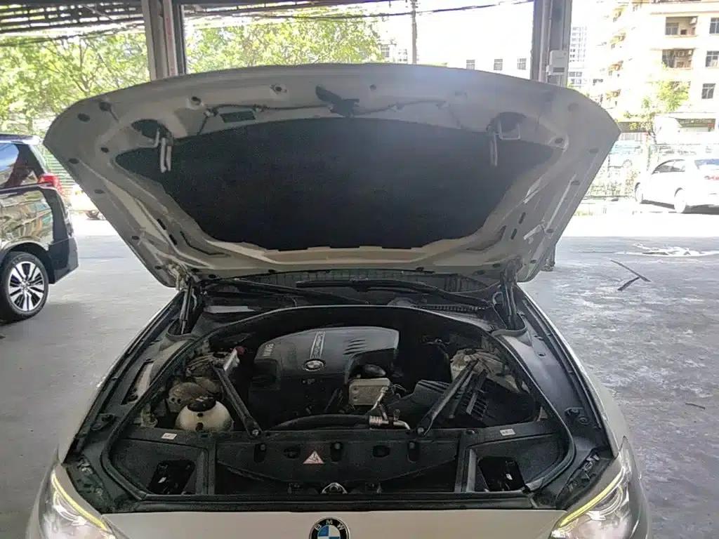 BMW 5 Series 2017 525Li Leading Edition — миниатюра 20