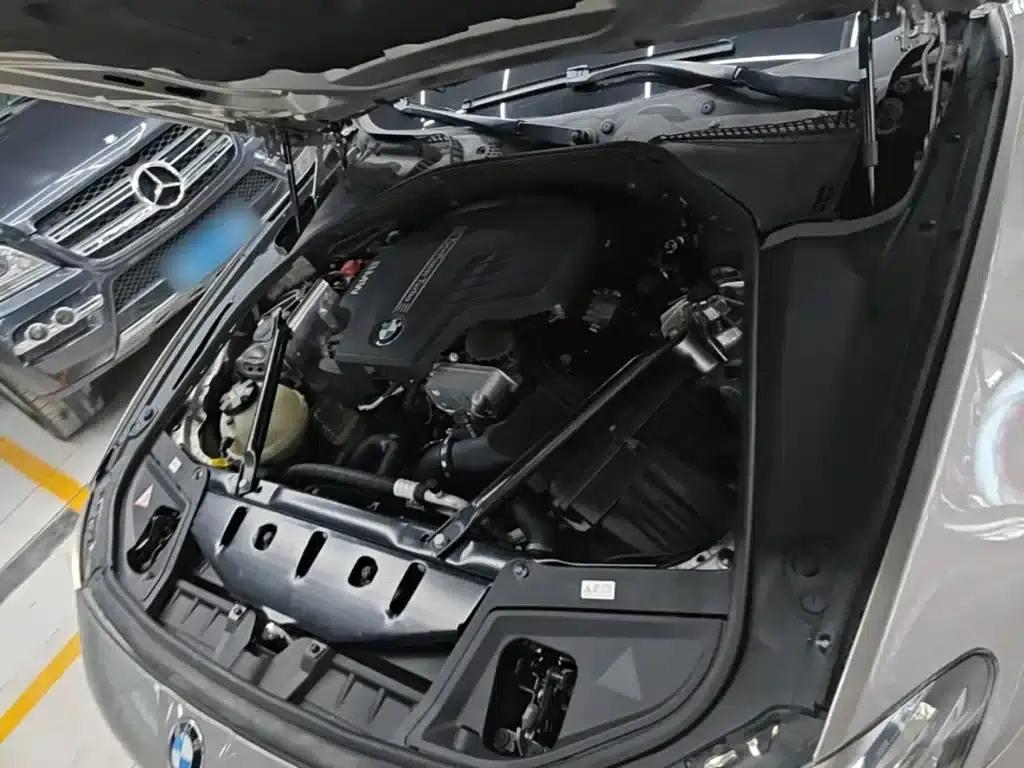 2014 BMW 5 Series 525Li Luxury Design Package — миниатюра 20