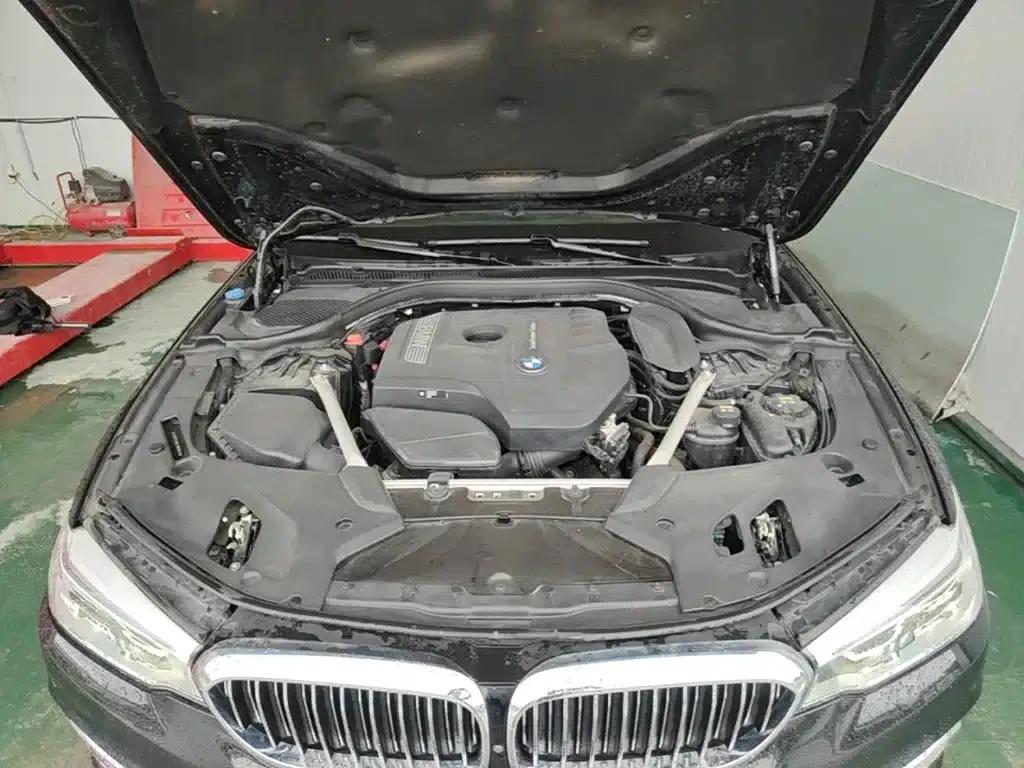BMW 5 Series 2020 530Li Luxury Package — миниатюра 20