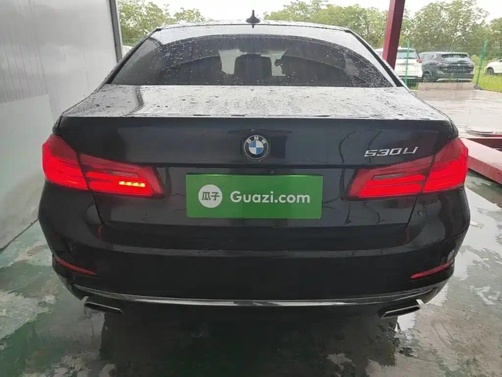 BMW 5 Series 2020 530Li Luxury Package — миниатюра 6