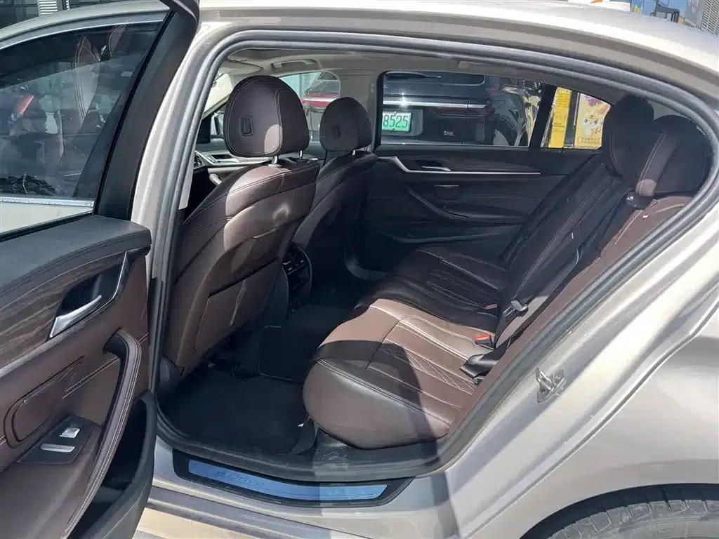 BMW 5 Series PHEV 2019 530Le Luxury Package — миниатюра 7