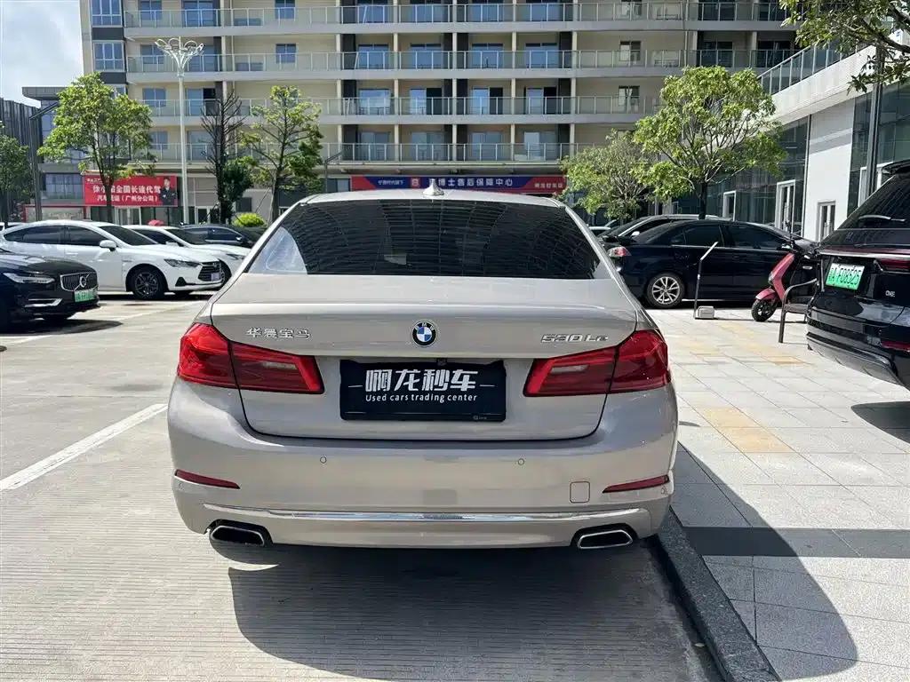 BMW 5 Series PHEV 2019 530Le Luxury Package — миниатюра 8