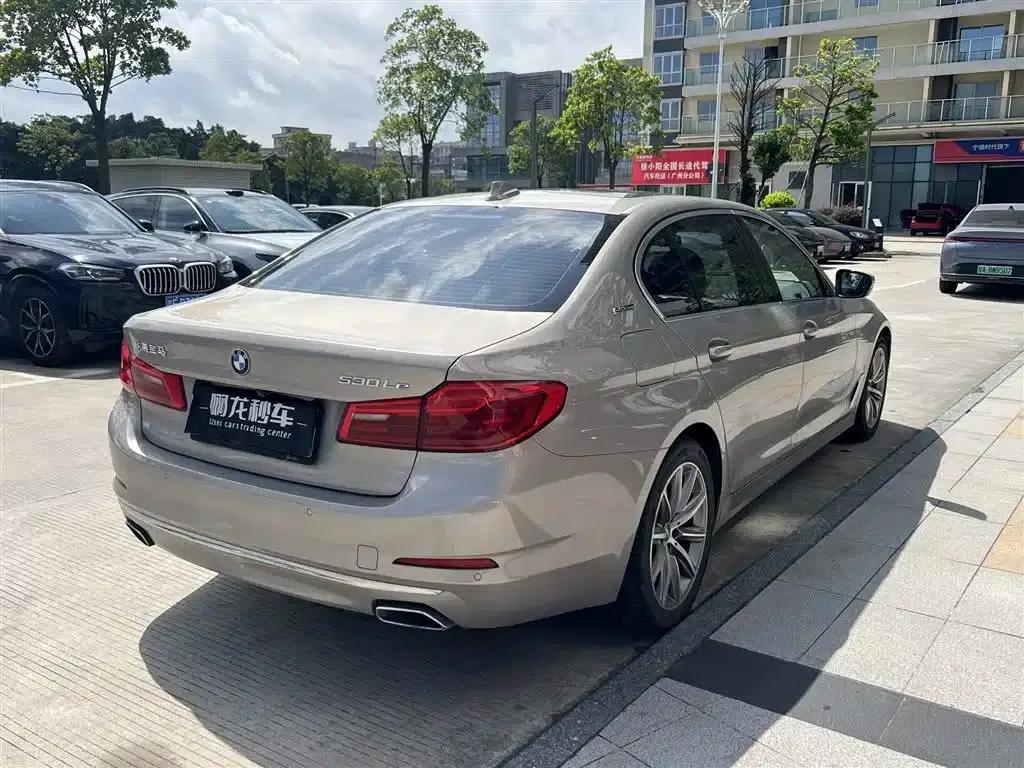 BMW 5 Series PHEV 2019 530Le Luxury Package — миниатюра 9