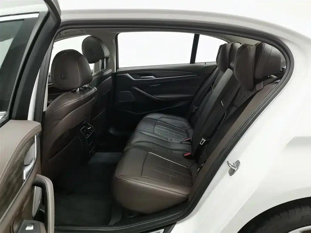 BMW 5 Series PHEV 2020 Mileage Upgrade Edition 530Le Luxury Package — миниатюра 15