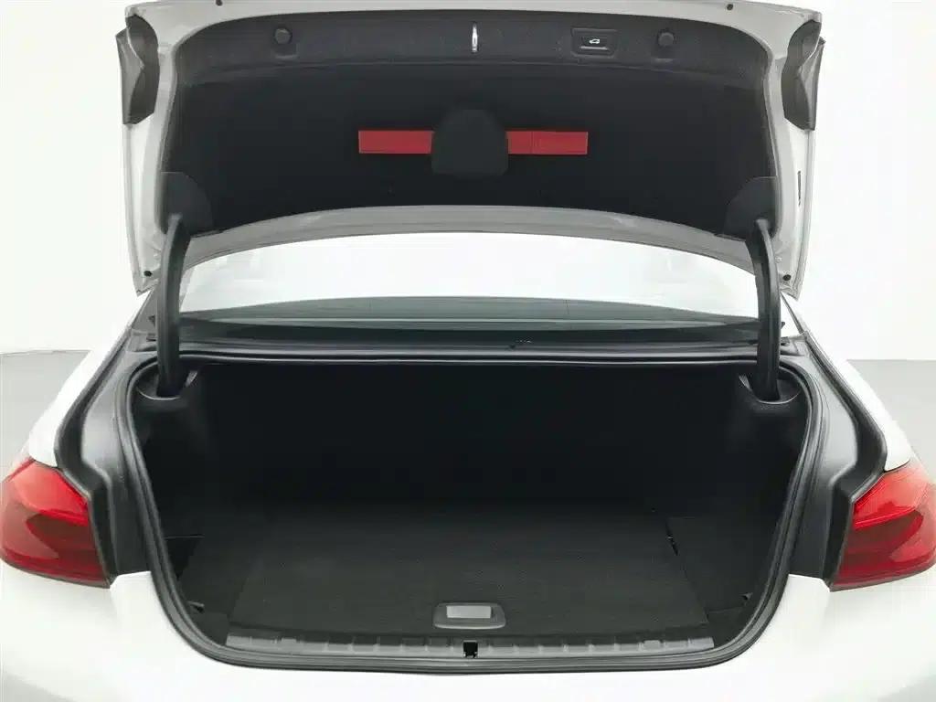 BMW 5 Series PHEV 2020 Mileage Upgrade Edition 530Le Luxury Package — миниатюра 16