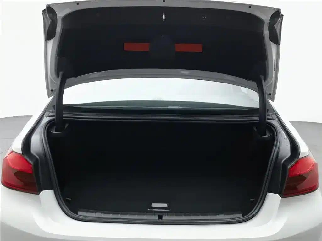BMW 5 Series PHEV 2020 530Le Luxury Package — миниатюра 16