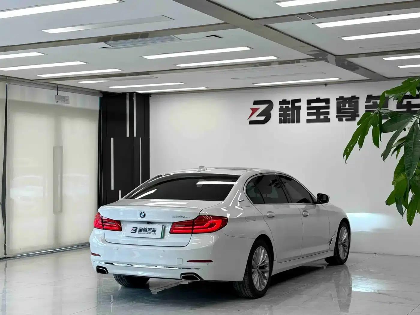 BMW 5 Series PHEV 2019 Facelift 530Le Luxury Package — миниатюра 15