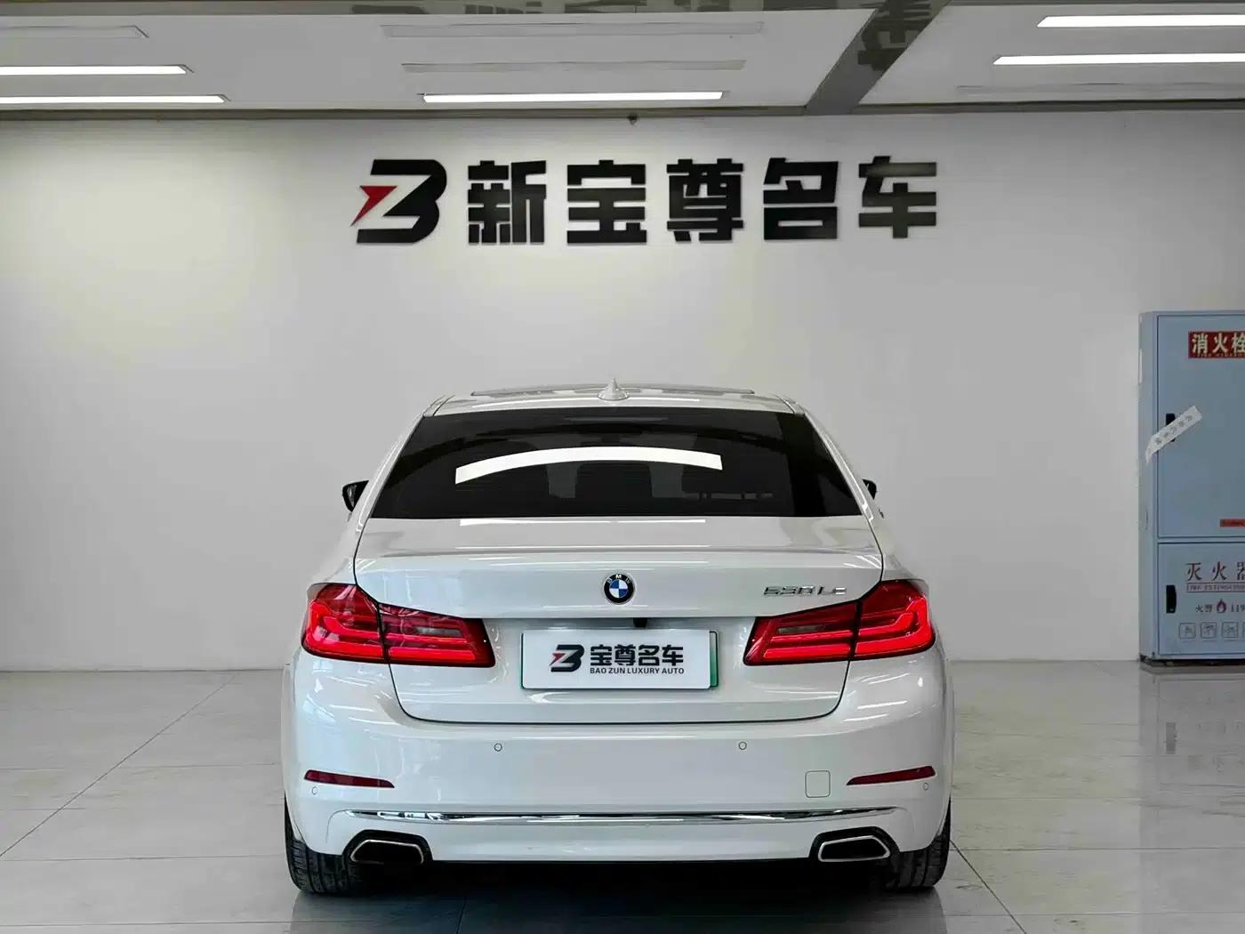 BMW 5 Series PHEV 2019 Facelift 530Le Luxury Package — миниатюра 16