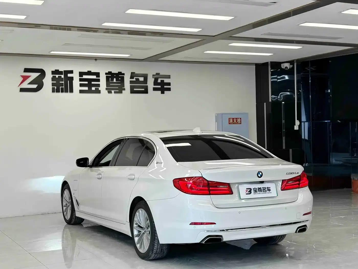 BMW 5 Series PHEV 2019 Facelift 530Le Luxury Package — миниатюра 17