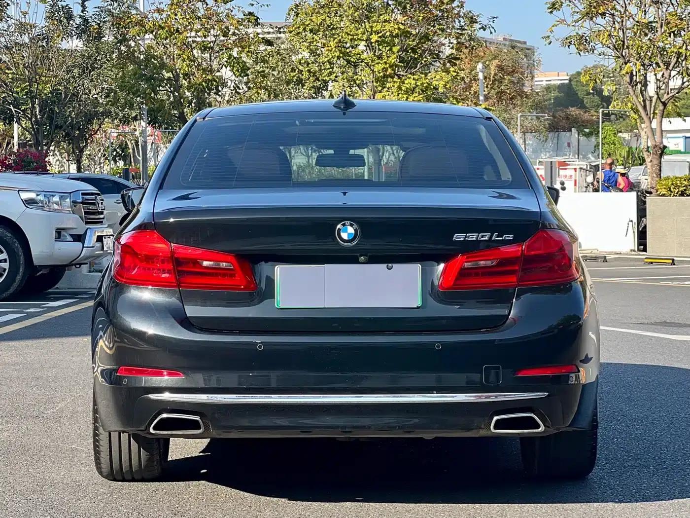 BMW 5 Series PHEV 2019 Facelift 530Le Luxury Package — миниатюра 14