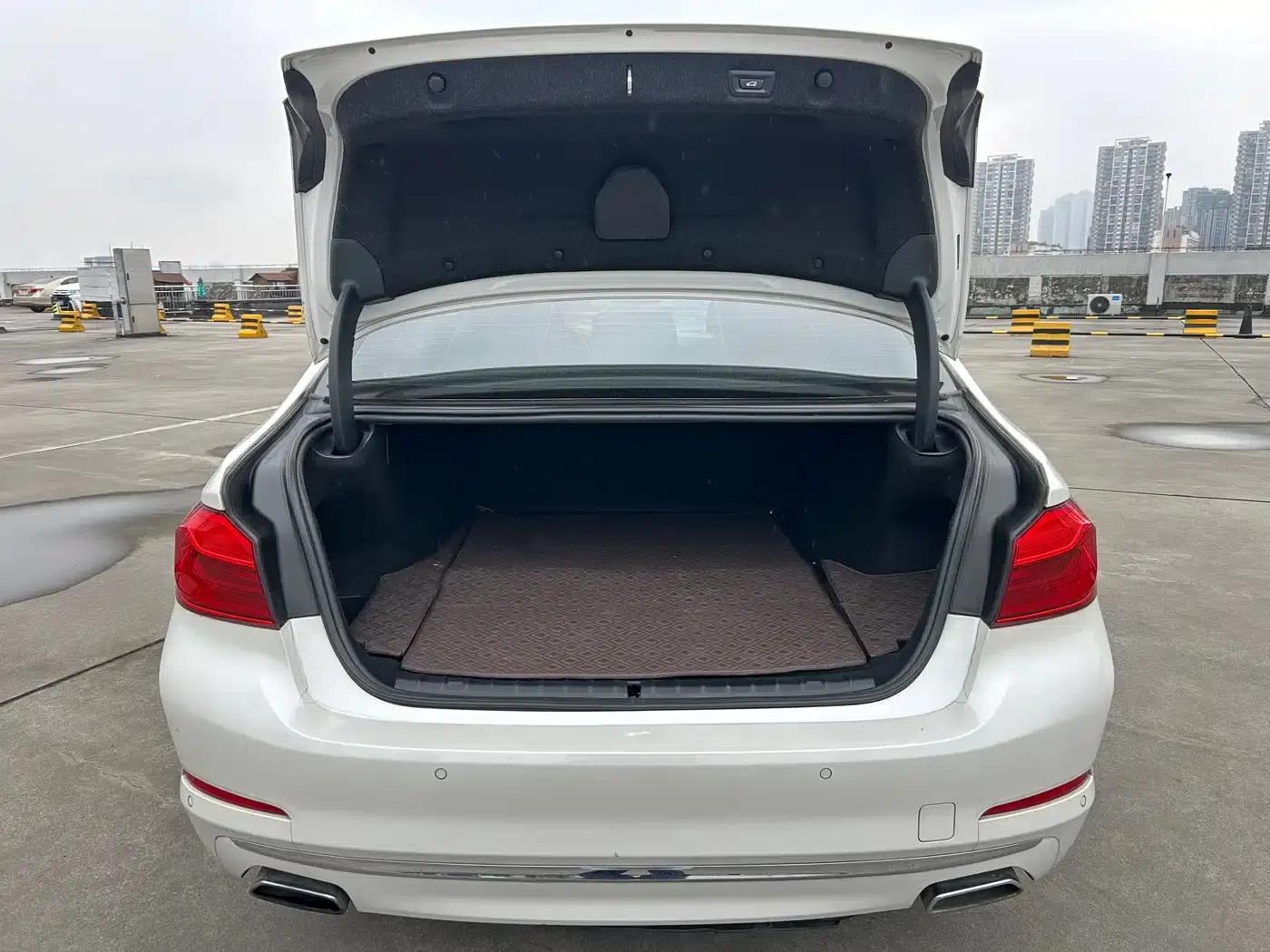 BMW 5 Series PHEV 2019 Facelift 530Le Pioneer Edition — миниатюра 13