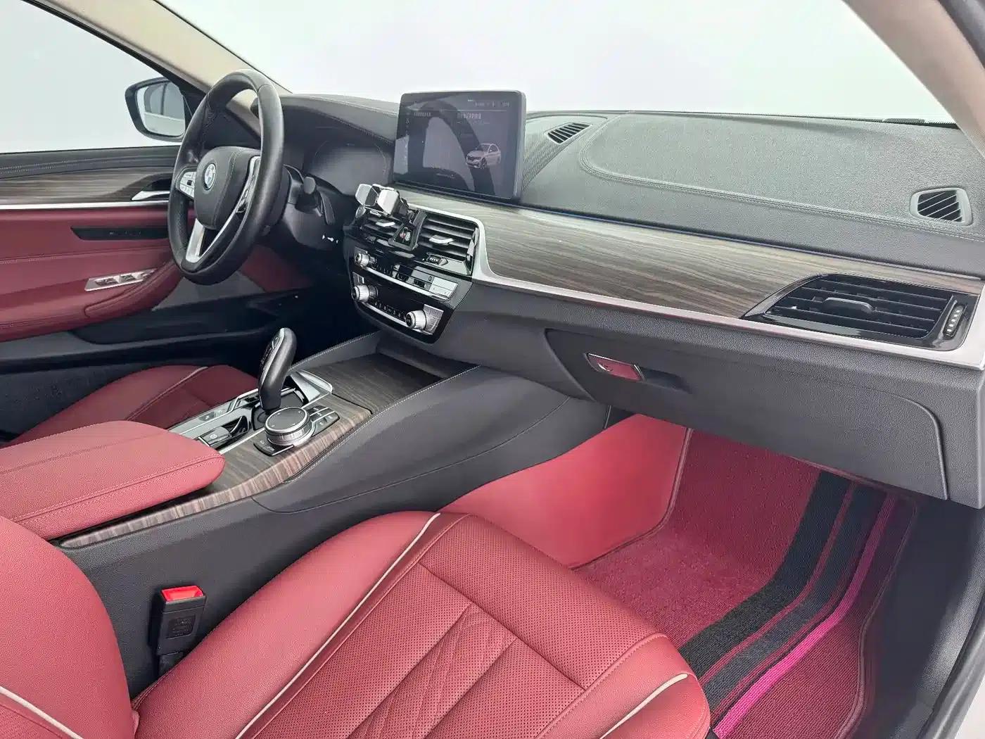 BMW 5 Series PHEV 2021 535Le Luxury Package — миниатюра 13