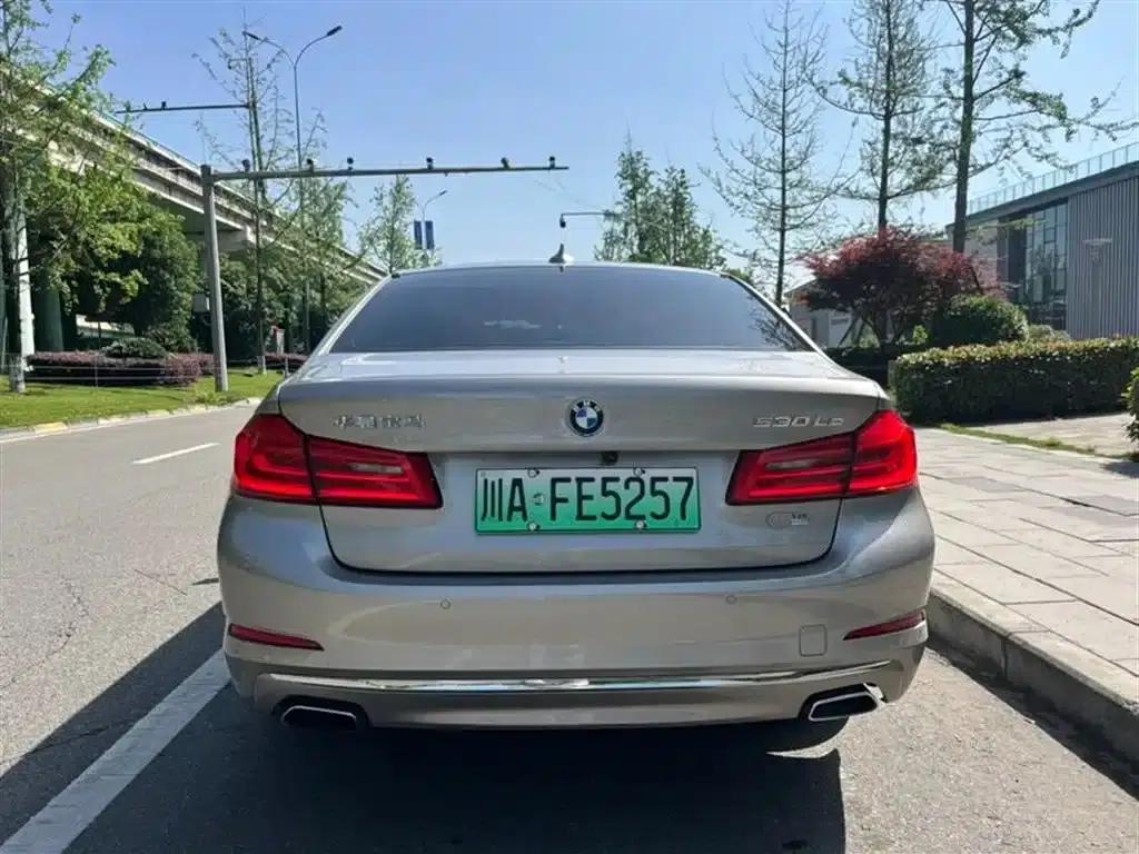 BMW 5 Series PHEV 2020 530Le Luxury Package — миниатюра 8