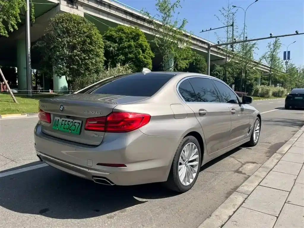 BMW 5 Series PHEV 2020 530Le Luxury Package — миниатюра 9