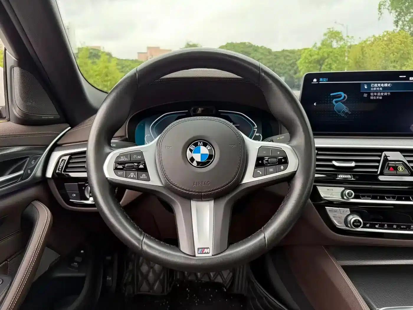 BMW 5 Series PHEV 2021 535Le Pioneer Edition M Sport Package — миниатюра 11