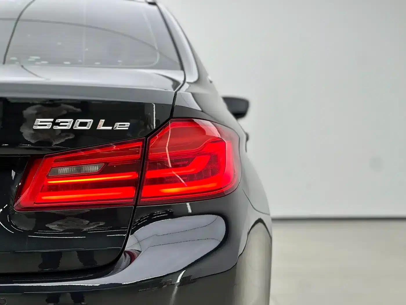 BMW 5 Series PHEV 2019 Facelift 530Le Pioneer Edition — миниатюра 10