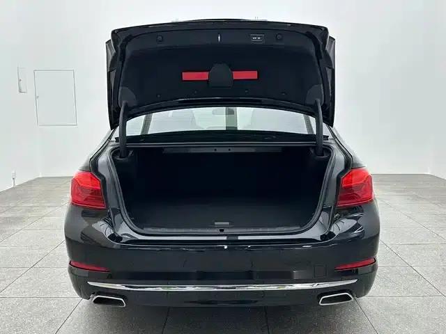BMW 5 Series PHEV 2020 Mileage Upgrade Edition 530Le Pioneer Edition — миниатюра 15