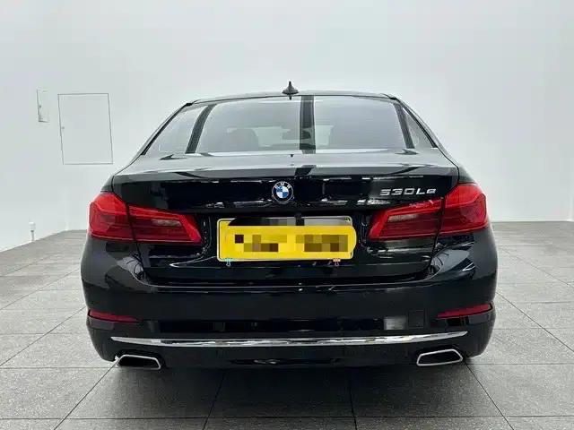 BMW 5 Series PHEV 2020 Mileage Upgrade Edition 530Le Pioneer Edition — миниатюра 5