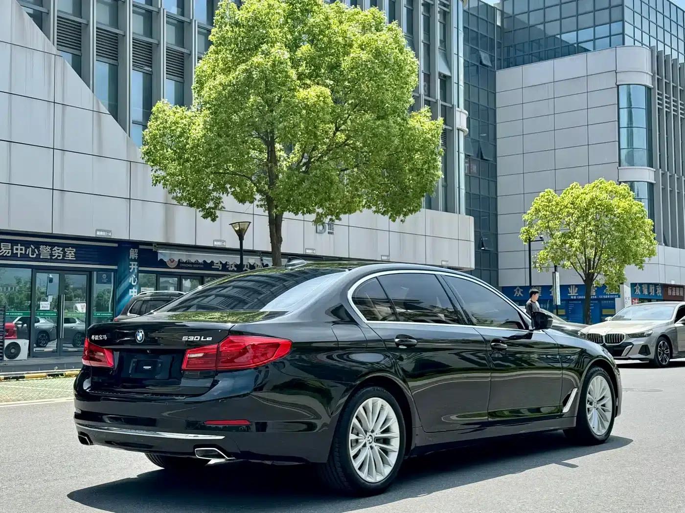 BMW 5 Series PHEV 2020 530Le Luxury Package — миниатюра 14