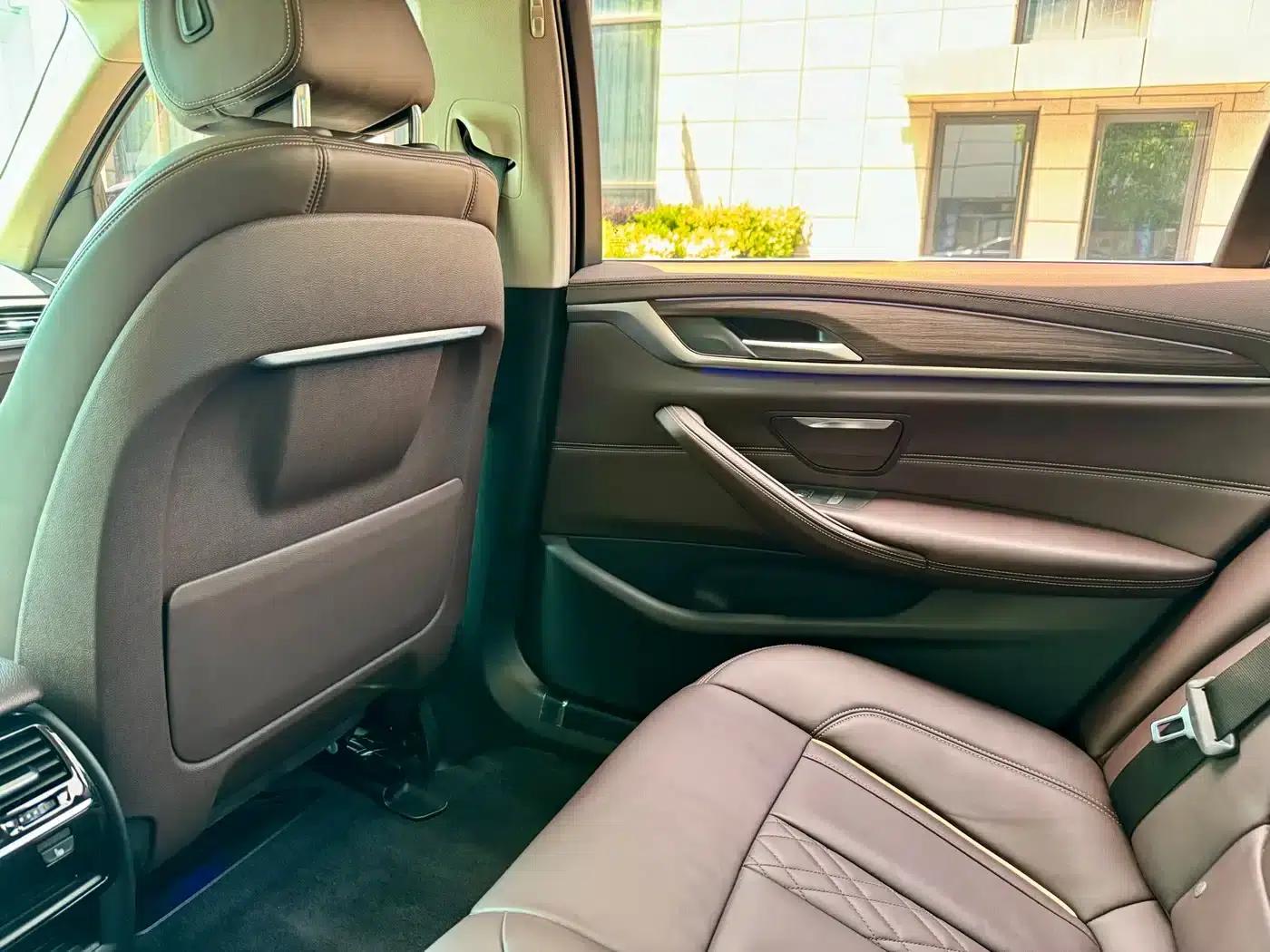 BMW 5 Series PHEV 2020 530Le Luxury Package — миниатюра 10