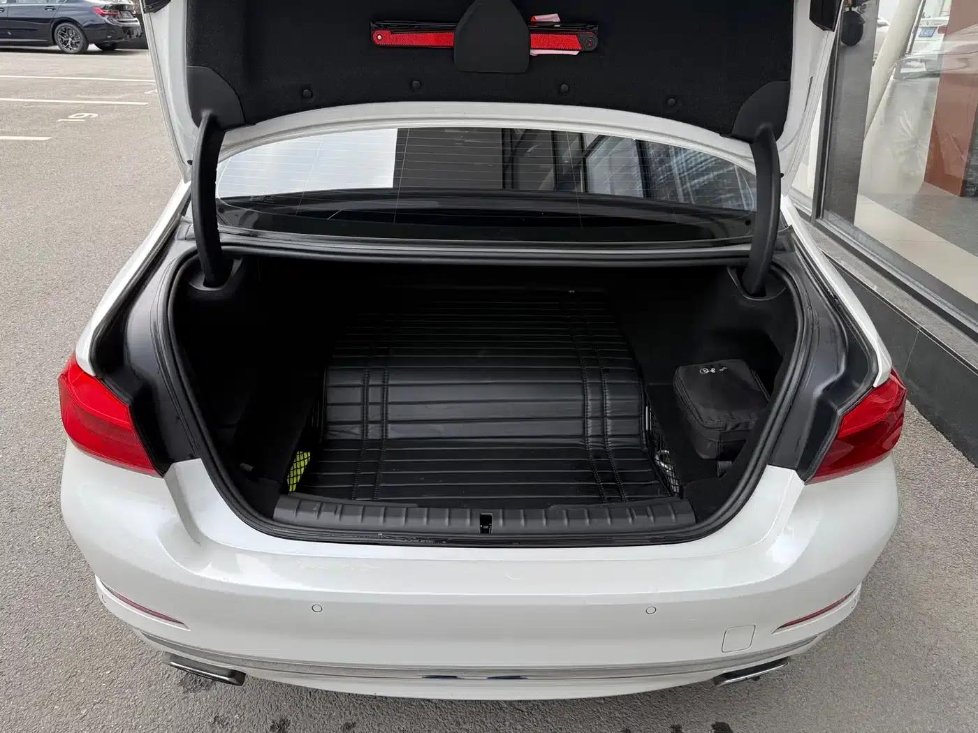 BMW 5 Series PHEV 2019 530Le Luxury Package — миниатюра 10