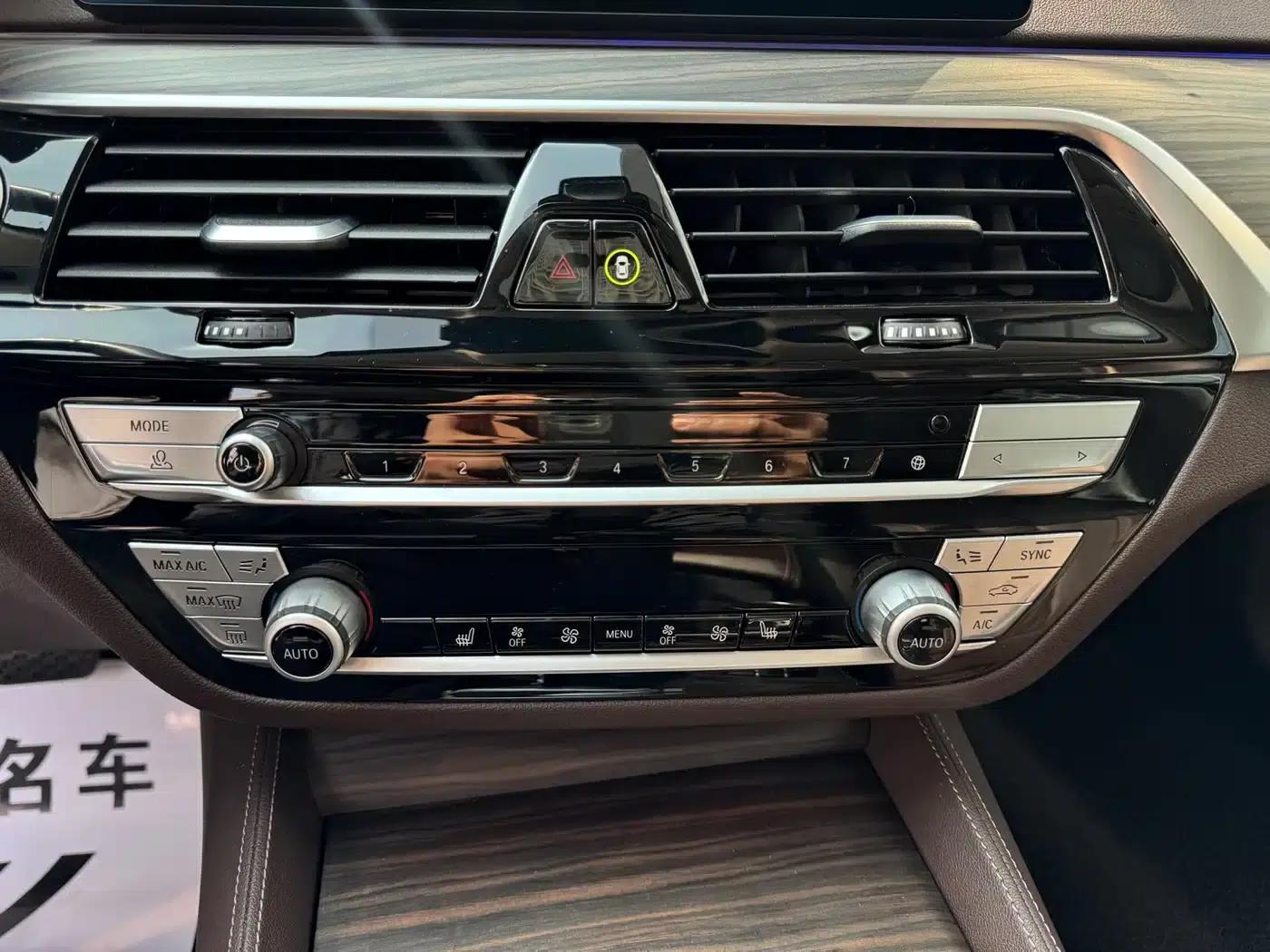 BMW 5 Series PHEV 2020 Mileage Upgrade Edition 530Le Luxury Package — миниатюра 11