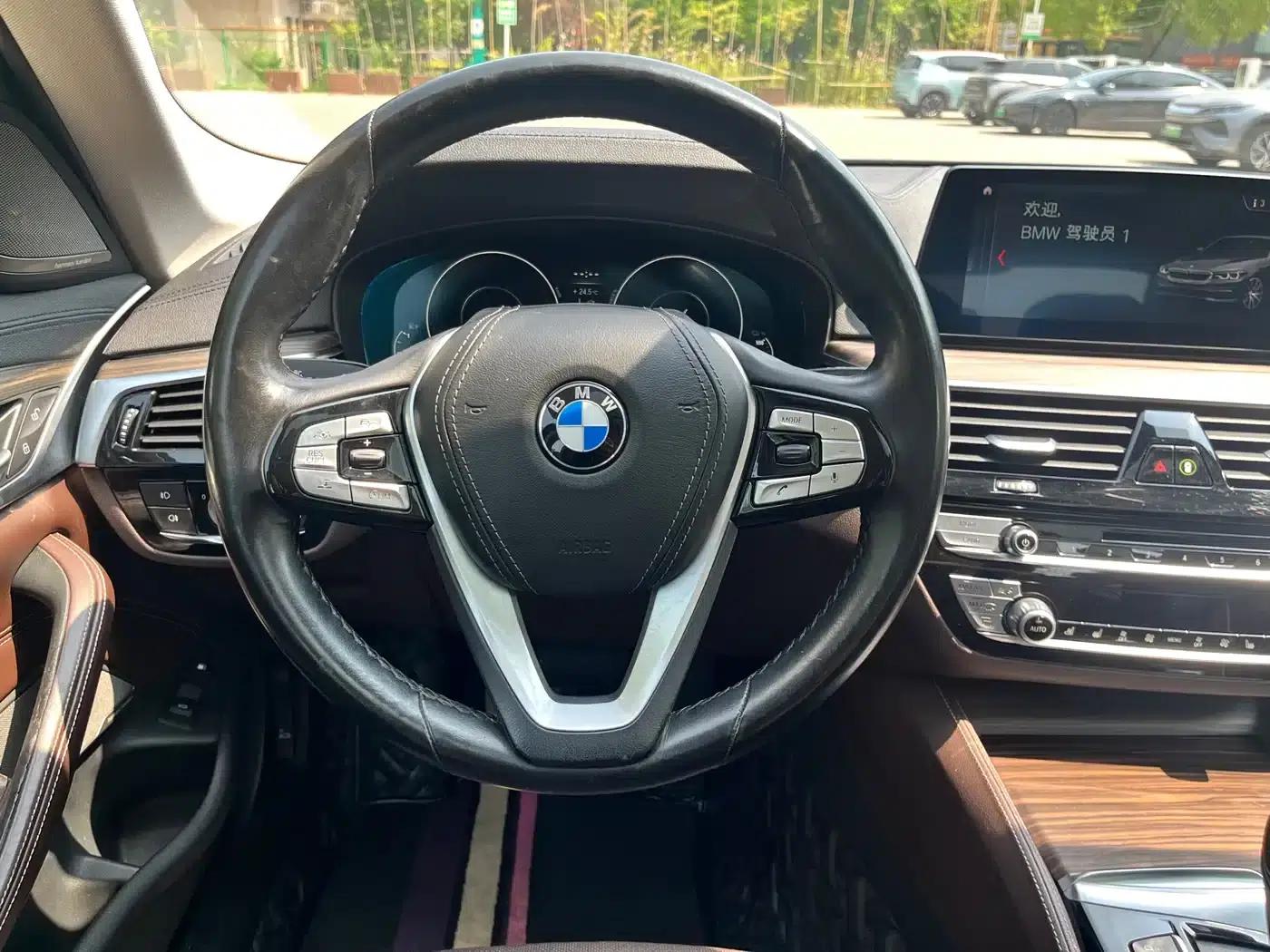 BMW 5 Series PHEV 2019 530Le Pioneer Edition — миниатюра 14