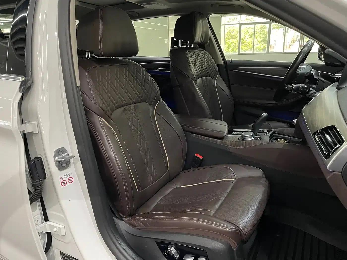BMW 5 Series PHEV 2019 Facelift 530Le Pioneer Edition — миниатюра 13