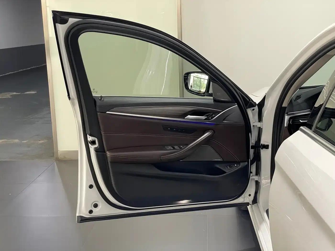 BMW 5 Series PHEV 2019 Facelift 530Le Pioneer Edition — миниатюра 21