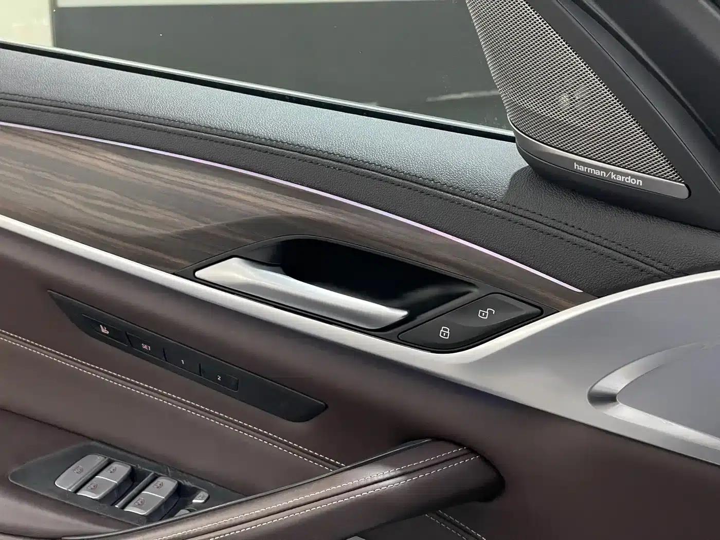 BMW 5 Series PHEV 2019 Facelift 530Le Pioneer Edition — миниатюра 23
