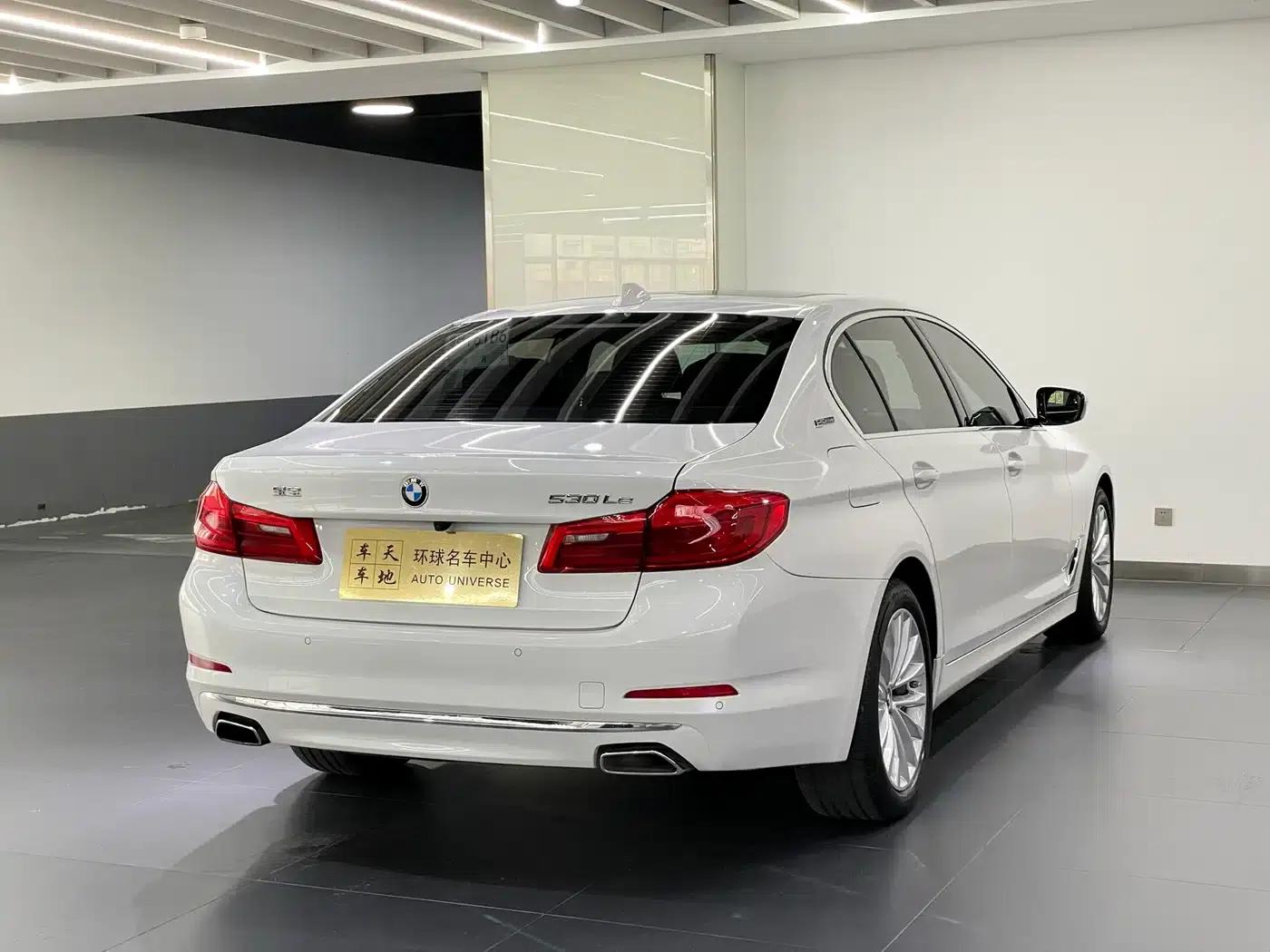 BMW 5 Series PHEV 2019 Facelift 530Le Pioneer Edition — миниатюра 4