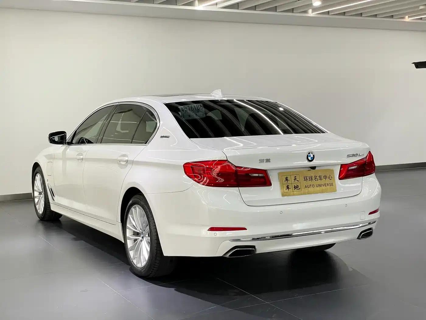 BMW 5 Series PHEV 2019 Facelift 530Le Pioneer Edition — миниатюра 6