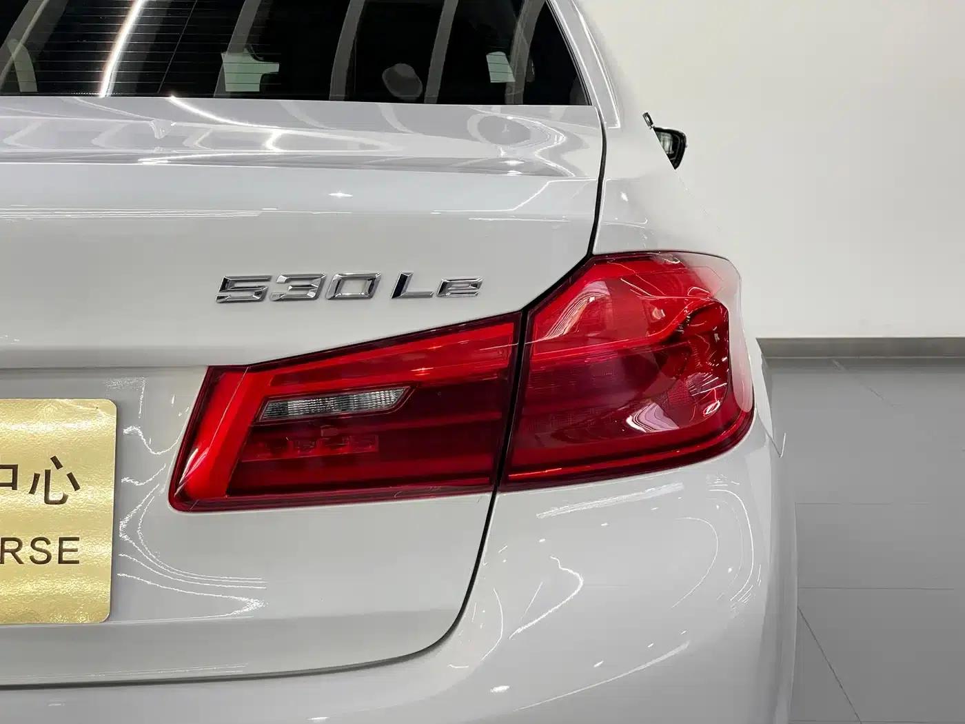 BMW 5 Series PHEV 2019 Facelift 530Le Pioneer Edition — миниатюра 9