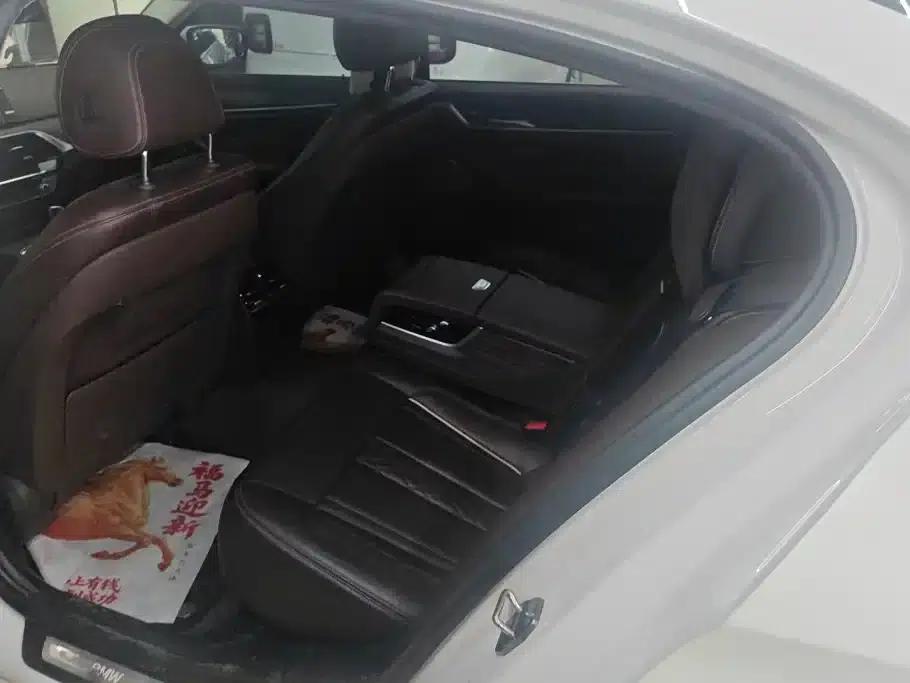 BMW 5 Series PHEV 2020 Mileage Upgrade Edition 530Le Luxury Package — миниатюра 11