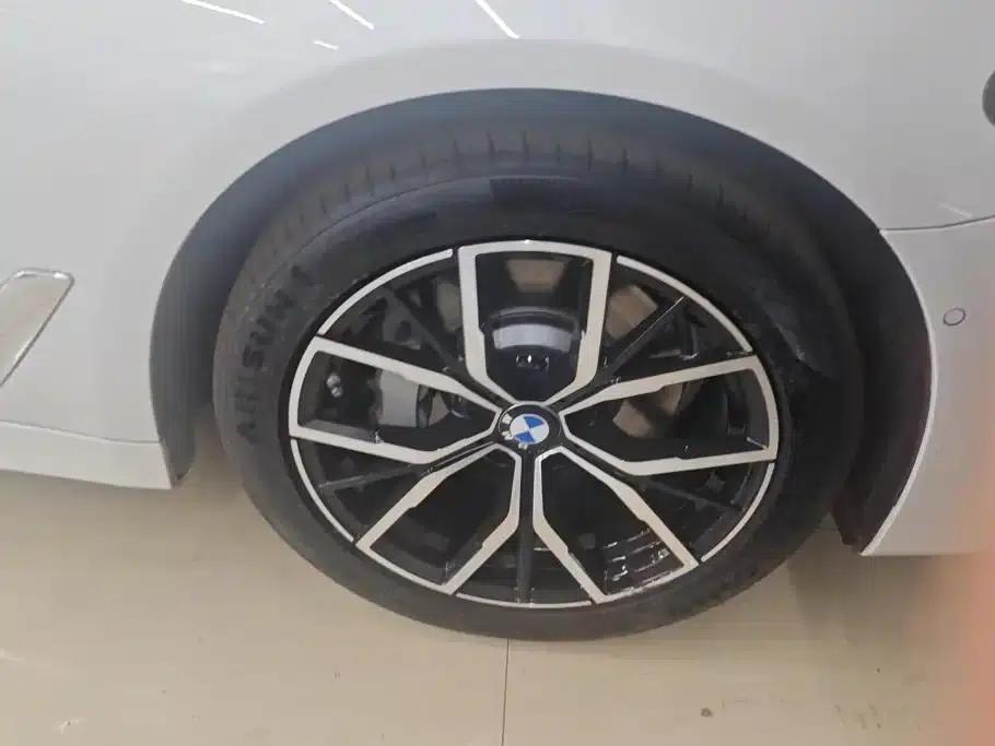 BMW 5 Series PHEV 2020 Mileage Upgrade Edition 530Le Luxury Package — миниатюра 6