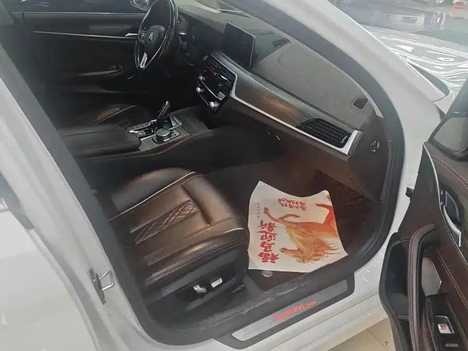 BMW 5 Series PHEV 2020 Mileage Upgrade Edition 530Le Luxury Package — миниатюра 8