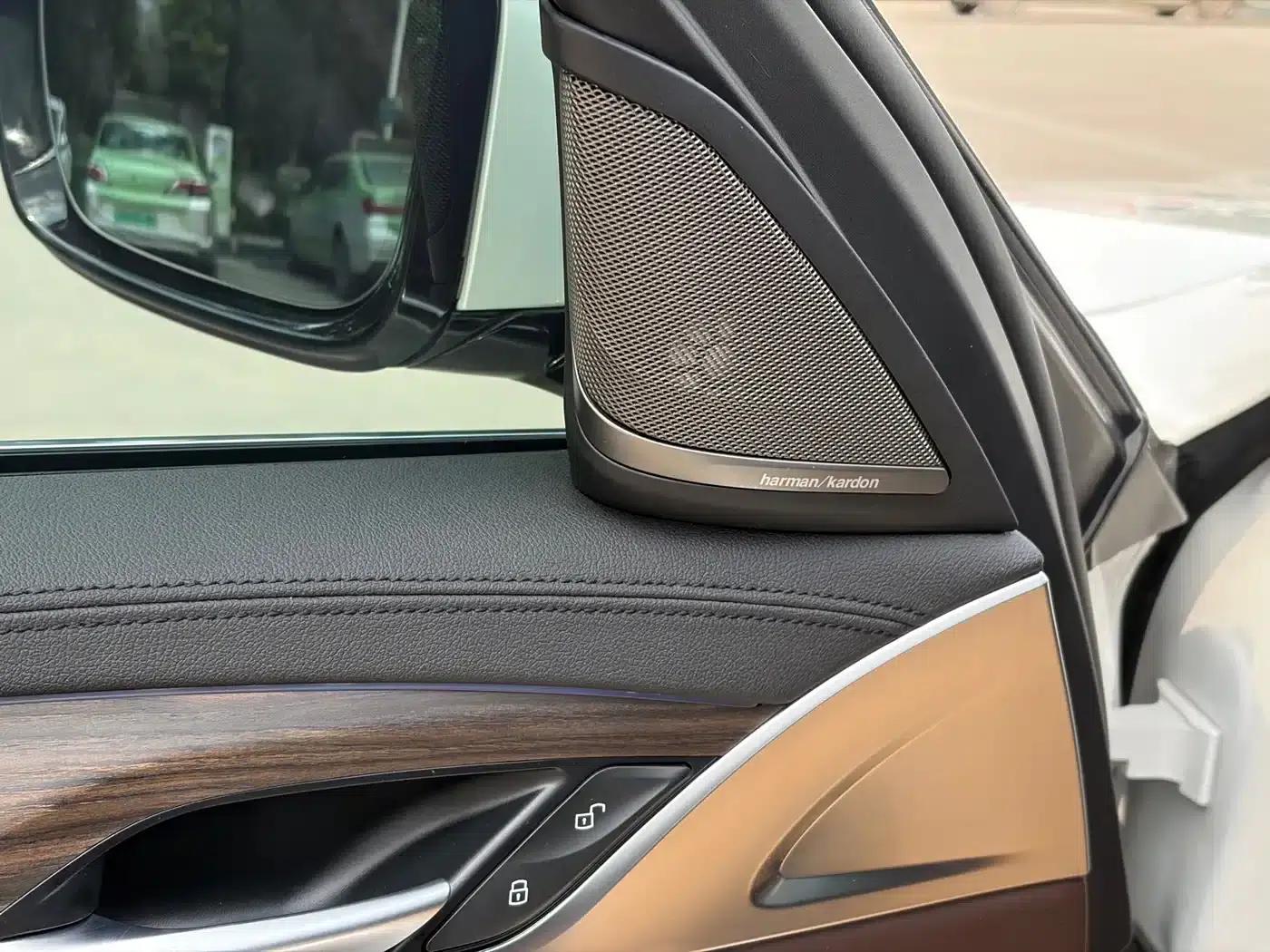 BMW 5 Series PHEV 2019 Facelift 530Le Pioneer Edition — миниатюра 8