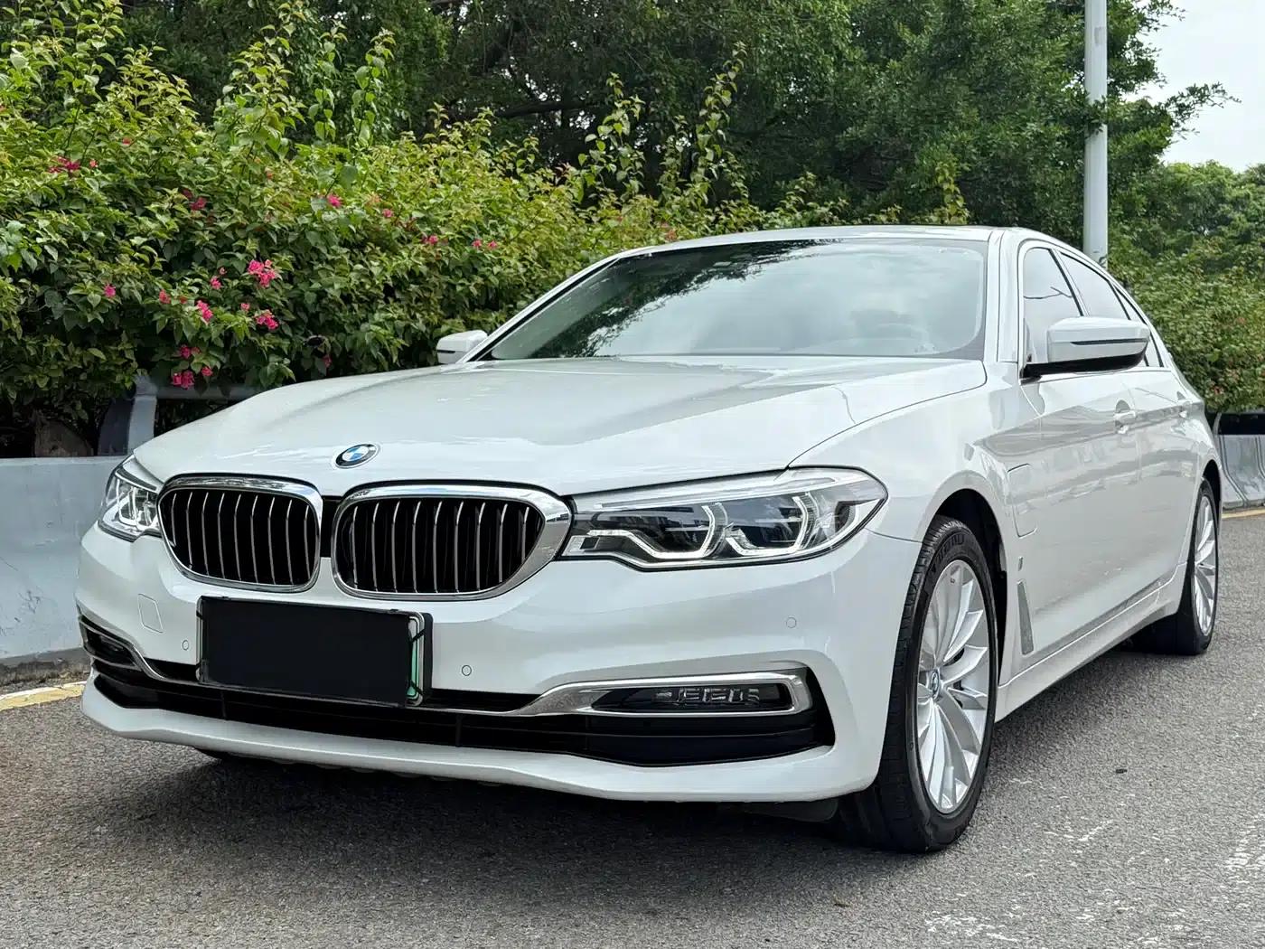 BMW 5 Series PHEV 2019 530Le Luxury Package — миниатюра 1