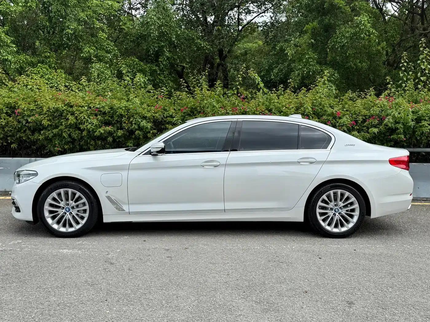 BMW 5 Series PHEV 2019 530Le Luxury Package — миниатюра 3