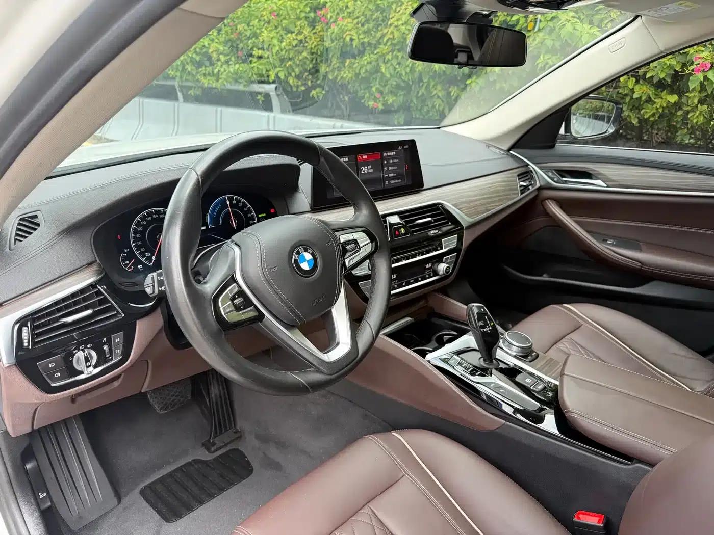 BMW 5 Series PHEV 2019 530Le Luxury Package — миниатюра 4