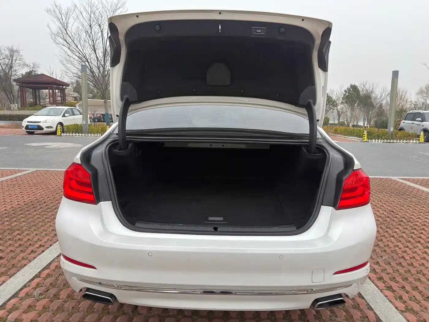 BMW 5 Series PHEV 2019 Facelift 530Le Luxury Package — миниатюра 15