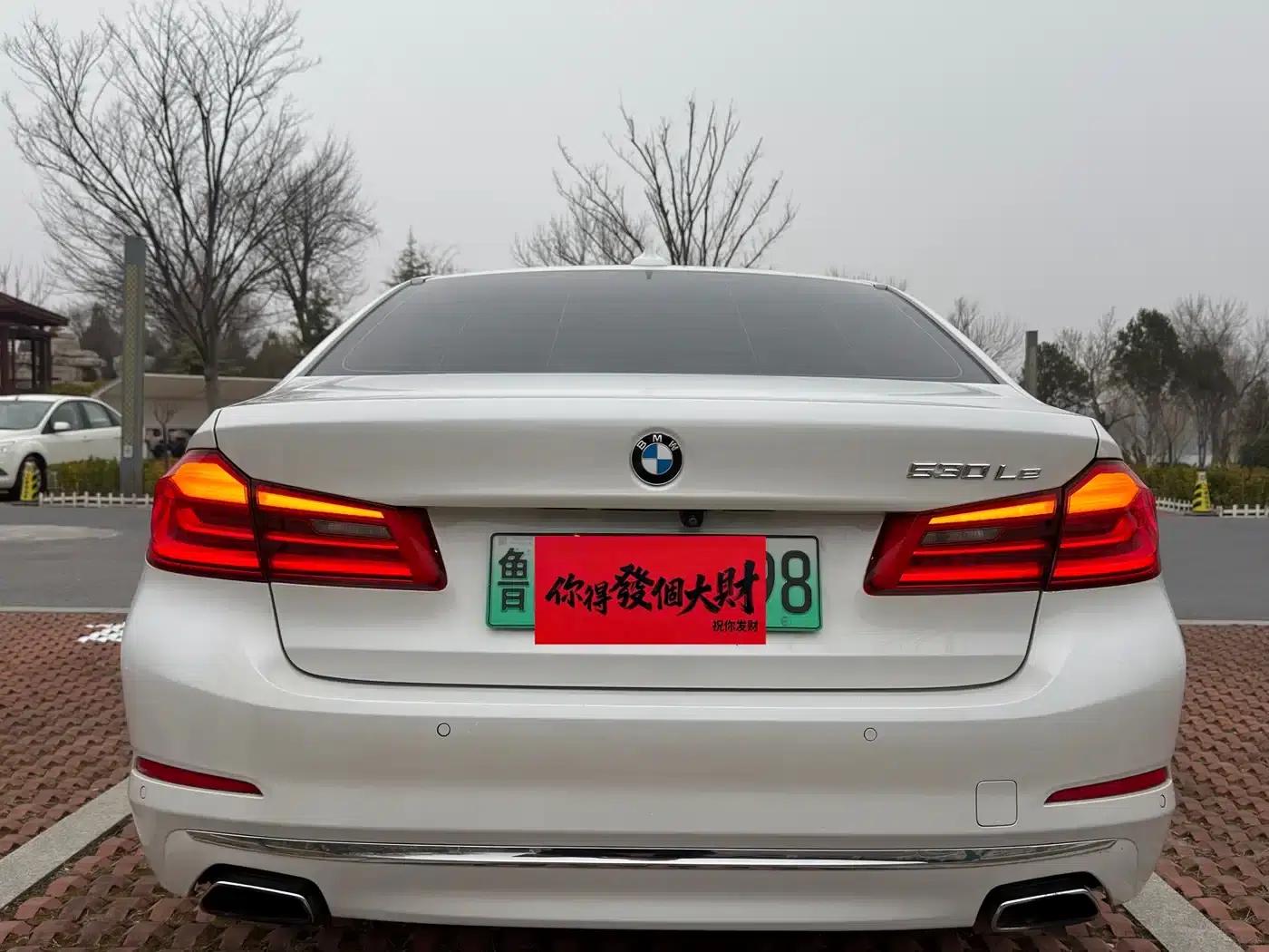 BMW 5 Series PHEV 2019 Facelift 530Le Luxury Package — миниатюра 4
