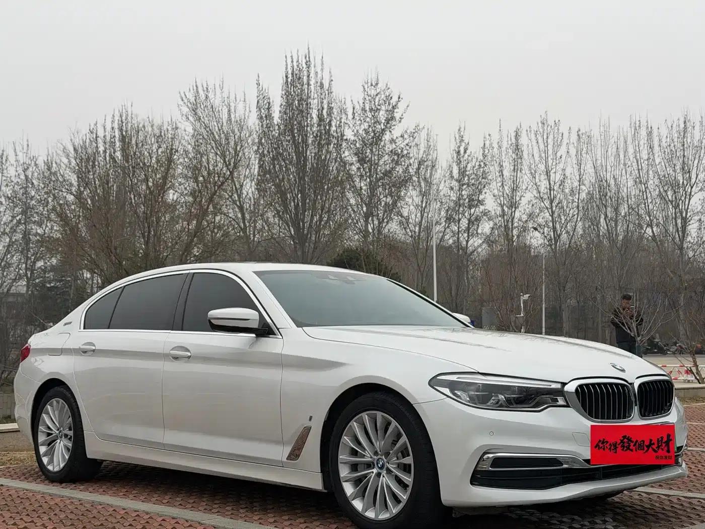 BMW 5 Series PHEV 2019 Facelift 530Le Luxury Package — миниатюра 6