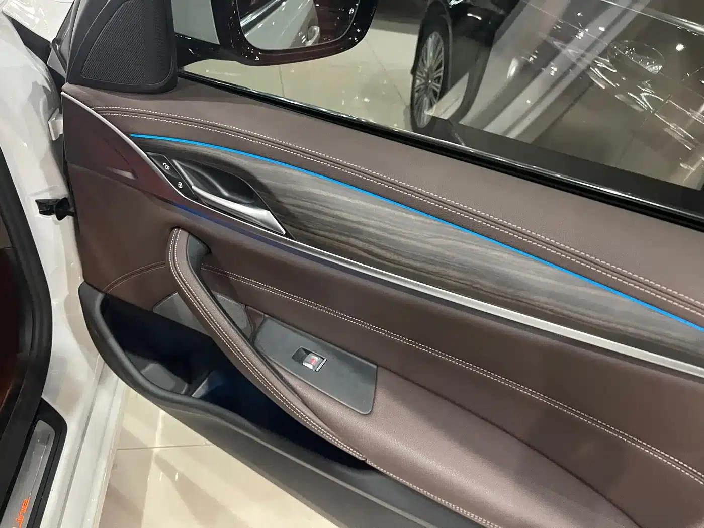 BMW 5 Series PHEV 2021 535Le Luxury Package — миниатюра 13