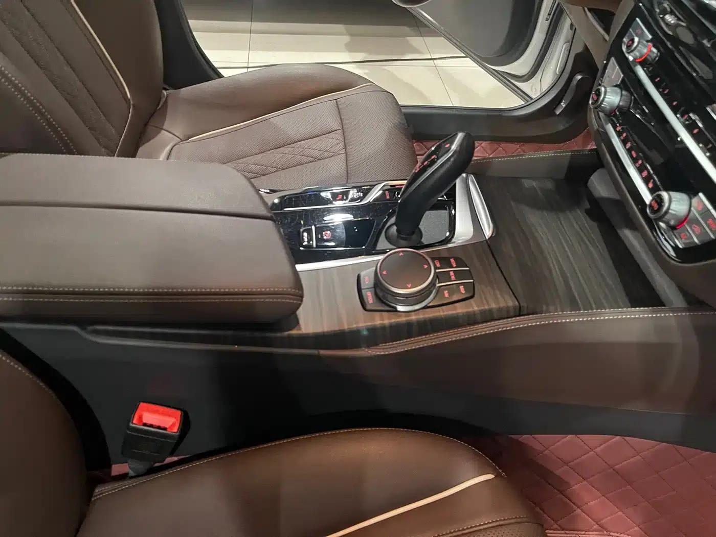 BMW 5 Series PHEV 2021 535Le Luxury Package — миниатюра 14