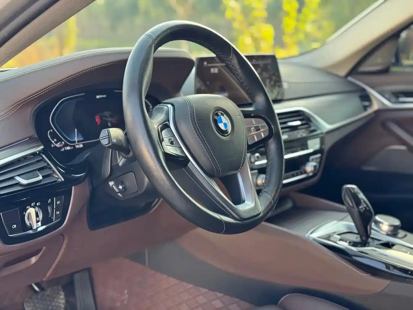 BMW 5 Series PHEV 2020 Mileage Upgrade Edition 530Le Pioneer Edition — миниатюра 16