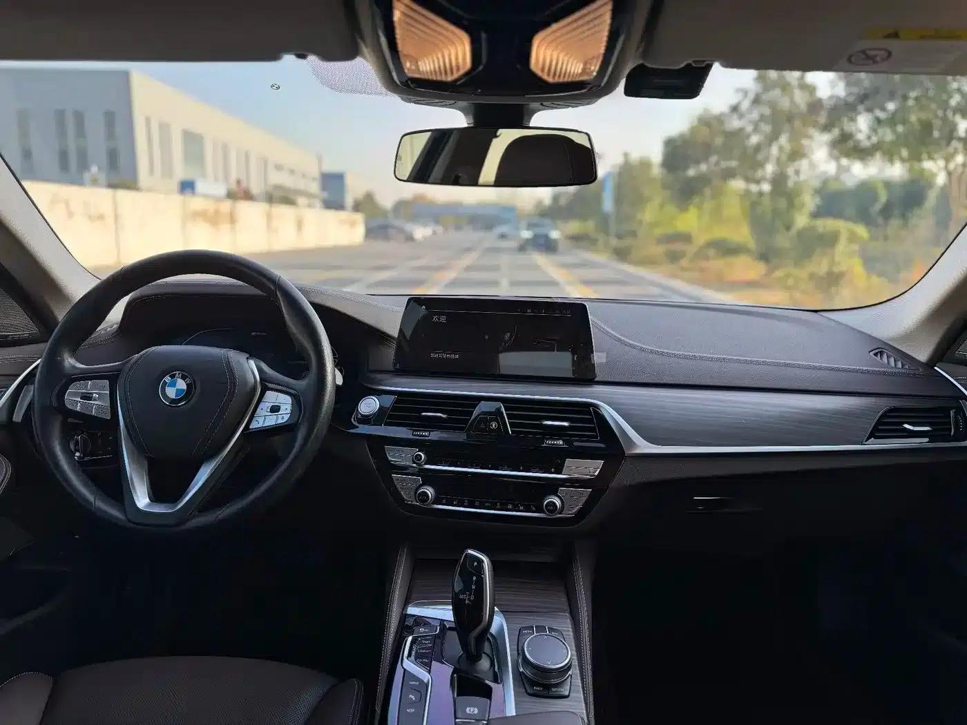 BMW 5 Series PHEV 2020 Mileage Upgrade Edition 530Le Pioneer Edition — миниатюра 10